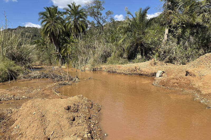  Illegal gold mining in Zimbabwe