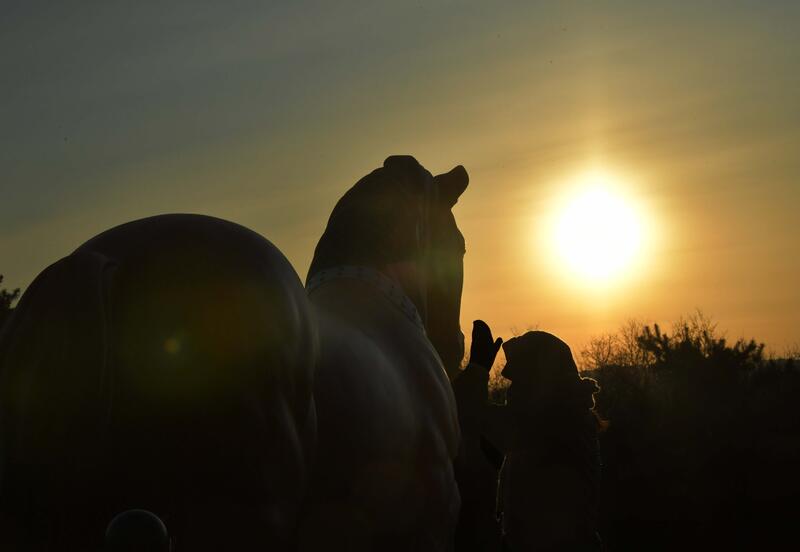 Welcome the New Year 2026 with 'the Red Horse'