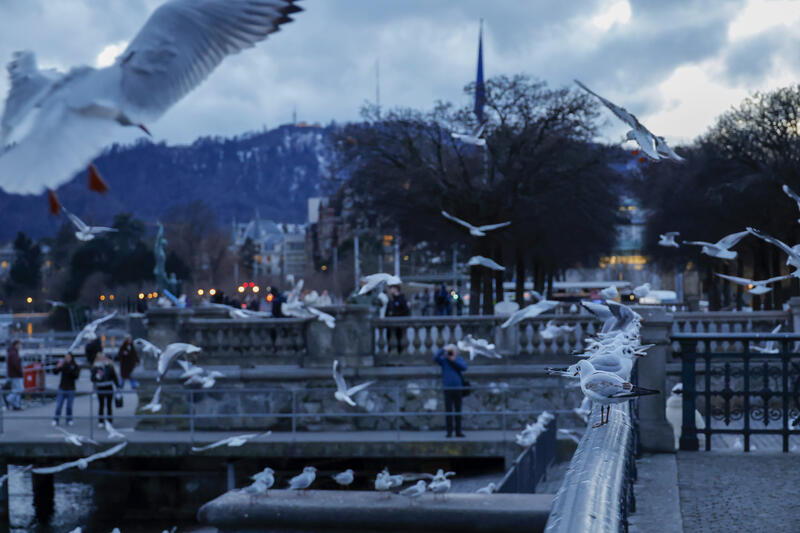 Winter views along the Limmat River in Zurich, Switzerland