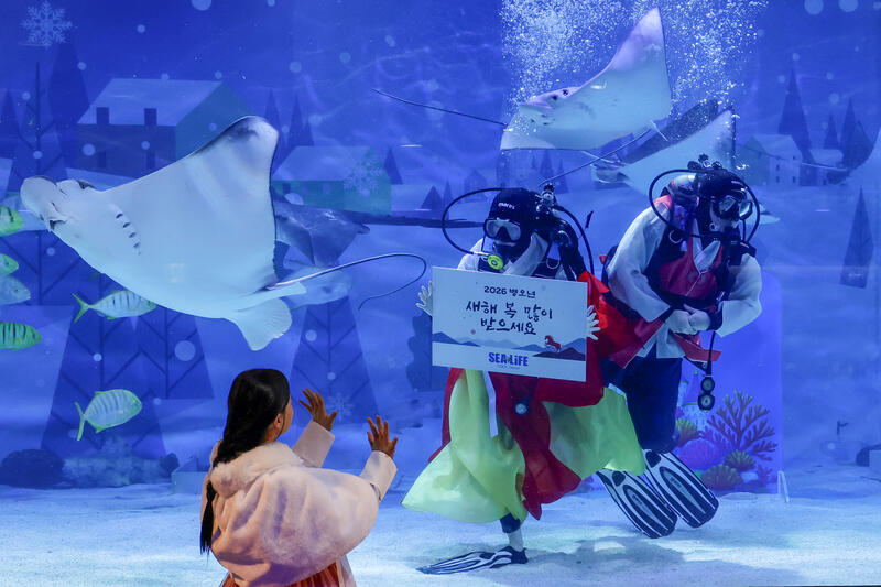 Divers perform in traditional dress at South Korean aquarium