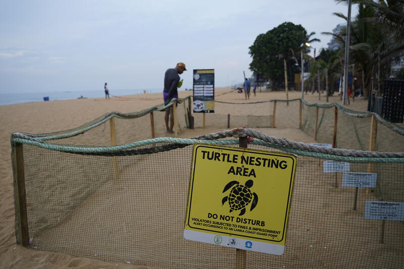 Daily Life in Colombo