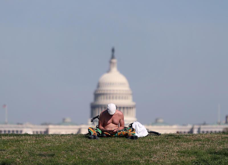 Cherry blossom trees in Washington, DC, USA.