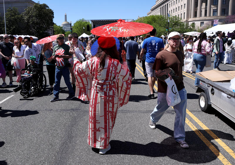 Sakura Matsuri-Japanese Street Festival in Washington, DC, USA.