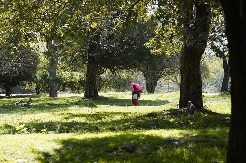 Tourism in UNESCO World Heritage Site in Anuradhapura, Sri Lanka