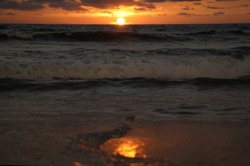 Earth Day in Sri Lanka