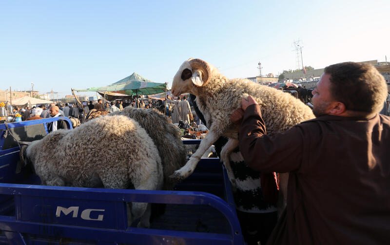 Preparations ahead of Eid al-Adha in Egypt