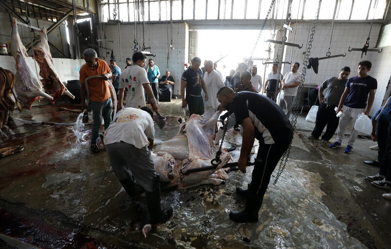 Eid al-Adha observed in Cairo, Egypt