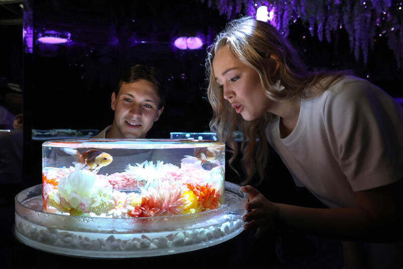 Seoul's aquarium unveils a traditional Korean-themed light exhibition