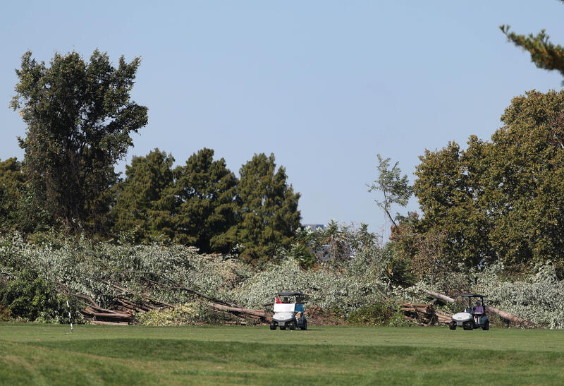 Tree removal halted at East Potomac Golf Course in Washington, DC
