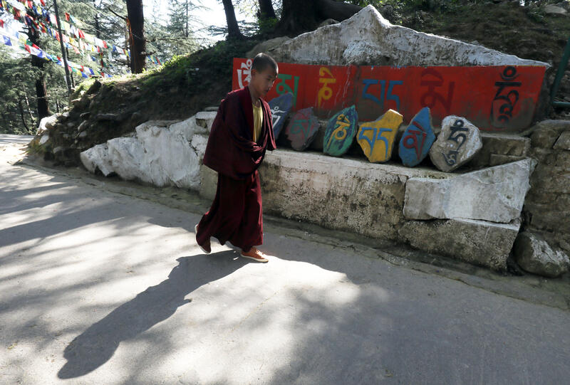 Daily life at Lhagyari Temple in Dharamshala, India