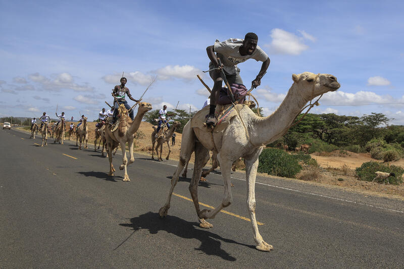 33rd Maralal International Camel Derby, Maralal, Kenya