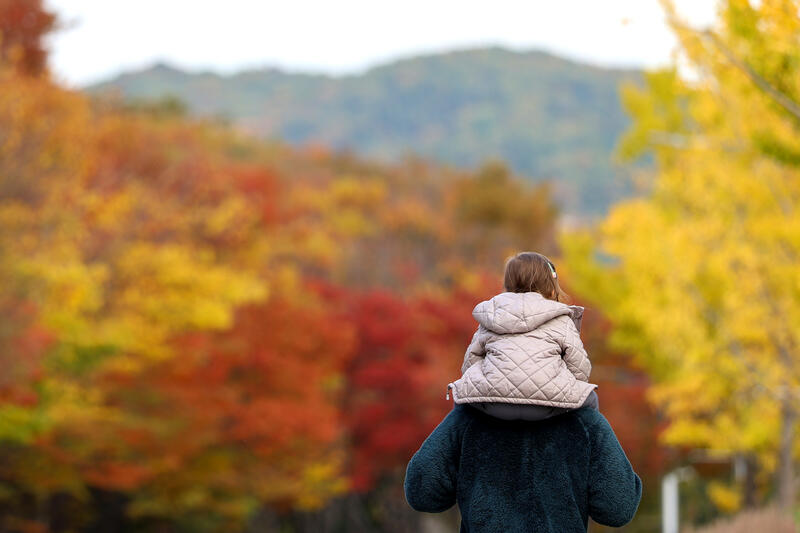 Autumn foliage at Incheon Grand Park in South Korea